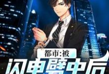 都市:被闪电劈中后我穿越了小说,都市:被闪电劈中后我穿越了最新章节-经典文学