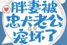 重生八零：胖妻被忠犬老公宠坏了章节免费在线阅读， 朱茯苓程越完结版-经典文学