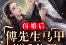 闪婚后：傅先生马甲藏不住了傅廷修孟宁小说在线章节目录阅读最新章节-经典文学