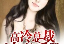 高冷总裁追妻手册小说,高冷总裁追妻手册章节在线阅读-经典文学