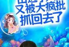 呜！出逃小人鱼又被大疯批抓回去了章节免费在线阅读，凤郁商沉婳完结版-经典文学