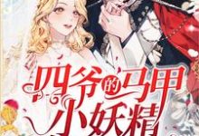 边锦段横的故事在哪本书里?免费阅读四爷的马甲小妖精有点难搞-经典文学