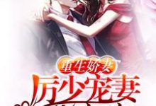 简言之厉承澜艾琪的故事在哪本书里?免费阅读重生娇妻:厉少宠妻甜蜜蜜-经典文学