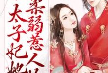 已完结小说《甜蜜宠爱:太子妃她柔弱惹人怜》在线章节阅读-经典文学