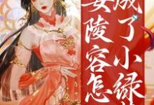 主角叫安陵容的小说在哪阅读-经典文学