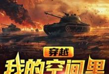 在线寻找叶繁李云龙的小说,穿越,我的空间里有海量武器免费阅读-经典文学