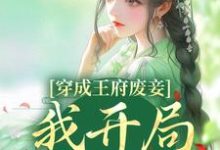 小说《穿成王府废妾，我开局被陷害》在线章节阅读-经典文学