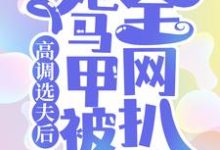 梨烟温西沉是哪本书的主角？高调选夫后，她马甲被全网扒了免费读-经典文学