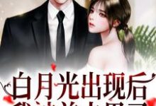 白月光出现后,我被前夫甩了小说有没有完整的免费版本在线阅读?-经典文学