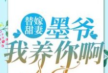 寻找能够免费阅读替嫁甜妻：墨爷，我养你啊小说的平台-经典文学