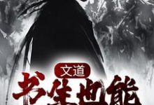 小说《文道：书生也能破万军》章节免费阅读-经典文学