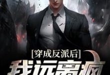 穿成反派后,我远离疯癫男女主章节免费在线阅读,江浩秦宛言完结版-经典文学