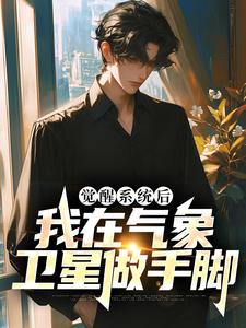 觉醒系统后，我在气象卫星做手脚章节免费在线阅读，刑天完结版