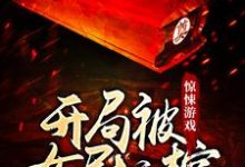 惊悚游戏:开局被女尸拉棺苏云在线章节免费阅读-经典文学