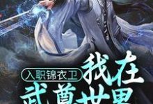 入职锦衣卫，我在武尊世界为朝廷效力林枭，入职锦衣卫，我在武尊世界为朝廷效力最新章节-经典文学
