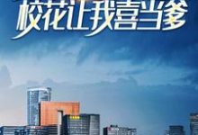 林辰的故事在哪本书里?免费阅读被女友分手后,校花让我喜当爹-经典文学