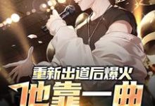 已完结小说《重新出道后爆火，他靠一曲横扫网络》章节在线阅读-经典文学