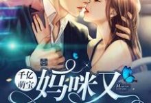 求千亿萌宝:妈咪又逃跑了小说的全文免费阅读链接-经典文学