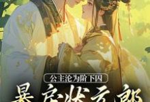 哪里可以免费读到萧长宁赵渊的完整故事?寻找公主沦为阶下囚,暴戾状元郎失控了-经典文学