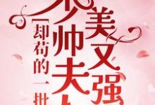 少帅夫人美又强,却苟的一批小说无弹窗阅读的网站推荐-经典文学