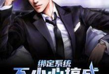 《绑定系统：不小心搞成五百强企业了》全集免费在线阅读（苏文）-经典文学