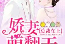 男女主人公何聪聪沈傅岳小说总裁在上:娇妻萌翻天章节免费阅读-经典文学