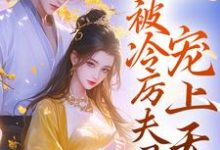 主人公叫沈雪禾陆存的小说哪里免费看-经典文学