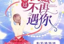 小说《重来过，我愿不再遇你》在线章节阅读-经典文学