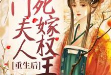 小说《重生后，侯门夫人假死嫁权王》章节阅读-经典文学