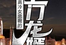 免费阅读叶豪萧婉清为主角的小说,高冷女总裁的上门龙婿在线看-经典文学