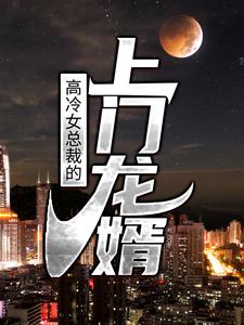免费阅读叶豪萧婉清为主角的小说，高冷女总裁的上门龙婿在线看