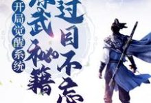 完整版的开局觉醒系统,综武秘籍我过目不忘小说在哪里可以免费读到?-经典文学