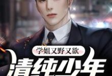 萧辰林岚为主角的小说学姐又野又欲,清纯少年他红了脸在线阅读-经典文学