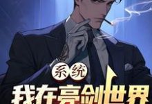 苏辰的小说在哪里看？免费在线阅读系统：我在亮剑世界爆杀鬼子-经典文学