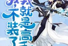 主人公叫叶东悄眉的小说哪里免费看-经典文学