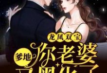 龙凤双宝:爹地,你老婆又黑化了最新章节,龙凤双宝:爹地,你老婆又黑化了免费阅读-经典文学