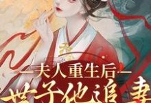 夫人重生后，世子他追妻火葬场了小说的免费阅读版本在哪里可以找到？-经典文学