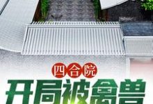 小说《四合院：开局被禽兽们搬空家》在线章节阅读-经典文学