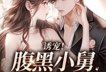 陆迟晏宋听晚是哪本书的主角？寻找诱宠！腹黑小舅肆意妄吻免费阅读-经典文学
