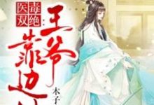 小说《医毒双绝：王爷靠边站》章节阅读-经典文学