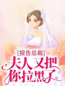 在线寻找报告总裁，夫人又把你拉黑了小说的无删减版本
