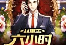 杨飞赵芷珊小说叫什么（从重生六小时开始逆袭人生免费阅读）-经典文学