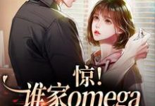 求惊！谁家omega这么会钓人啊小说免费资源-经典文学