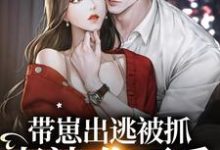 带崽出逃被抓:老婆,你不乖免费阅读,带崽出逃被抓:老婆,你不乖章节在线阅读-经典文学