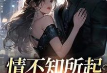 情不知所起,恋她极深免费阅读,情不知所起,恋她极深章节在线阅读-经典文学