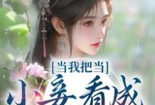 《当我把当小妾看成打工后》小说主角苏幼薇李景恒章节章节免费在线阅读-经典文学