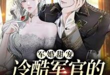 小说《军婚甜宠：冷酷军官的全能娇妻》章节免费阅读-经典文学