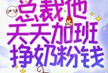 已完结小说《穿书后,总裁他天天加班挣奶粉钱》最新章节-经典文学