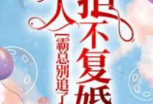 霸总别追了，夫人拒不复婚小说全文哪里可以免费看？-经典文学