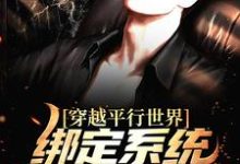 穿越平行世界:绑定系统我嫉恶如仇小说阅读,穿越平行世界:绑定系统我嫉恶如仇完结版-经典文学